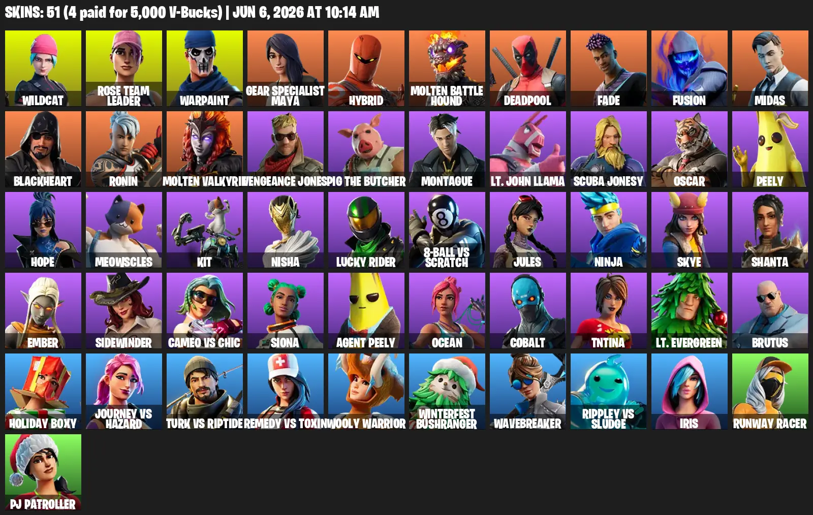 [PSN/XBOX/PC] 51 skins | OG STW | Wildcat 🎉 Midas 🎉 Warpaint 🎉 Blackheart 🎉 Ronin 🎉 Rose Team Leader | Full Access